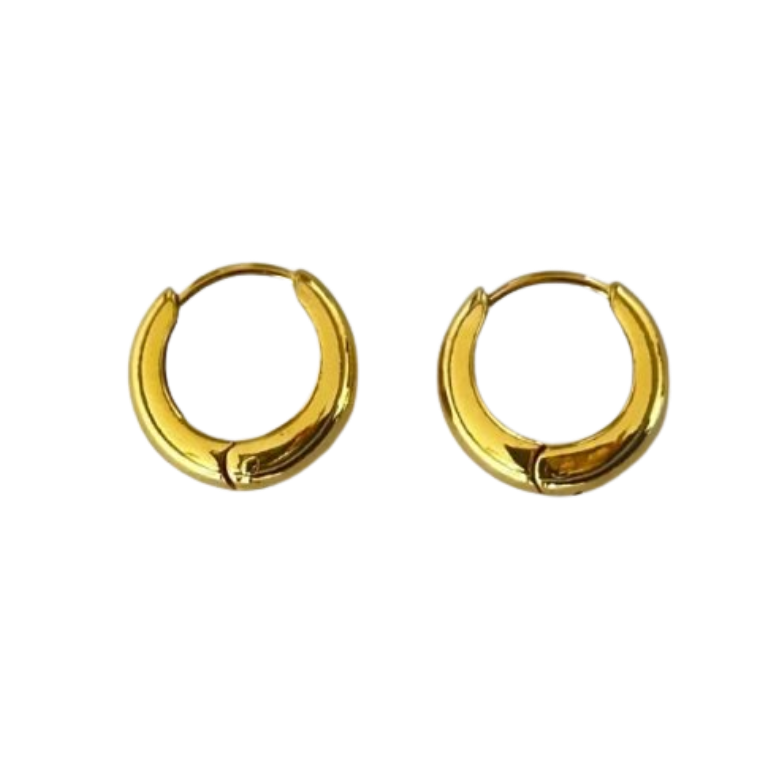 E335 Aretes Hoops - E335