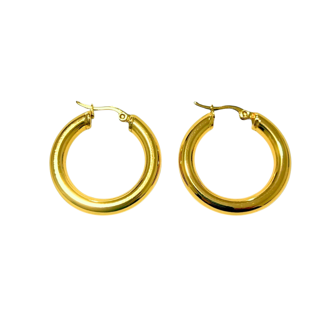 Aretes Hoops - E530