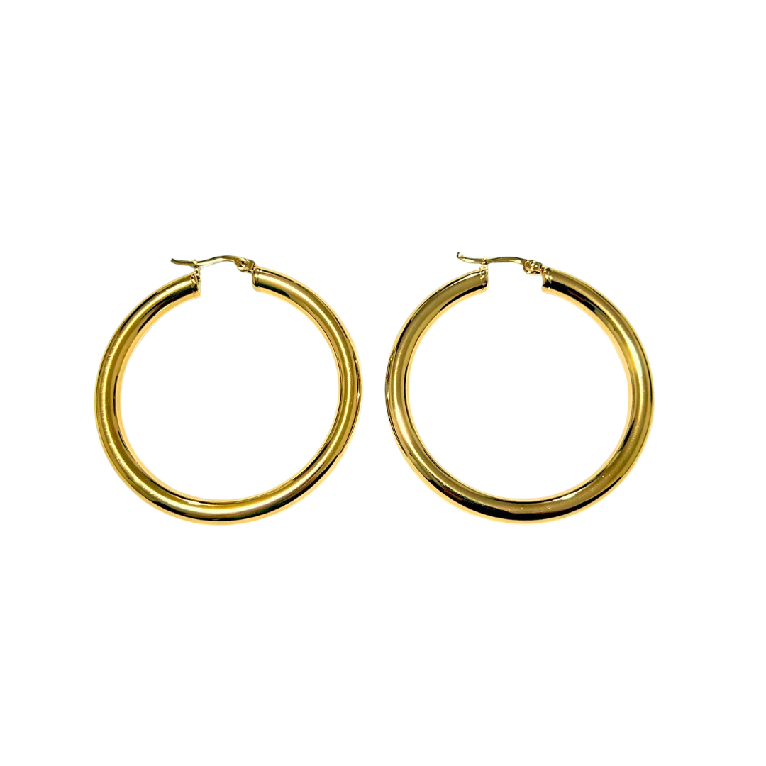 Aretes Hoops - E531