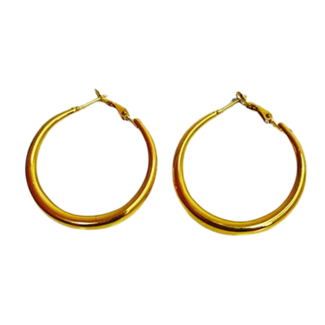 Aretes Hoops - E311