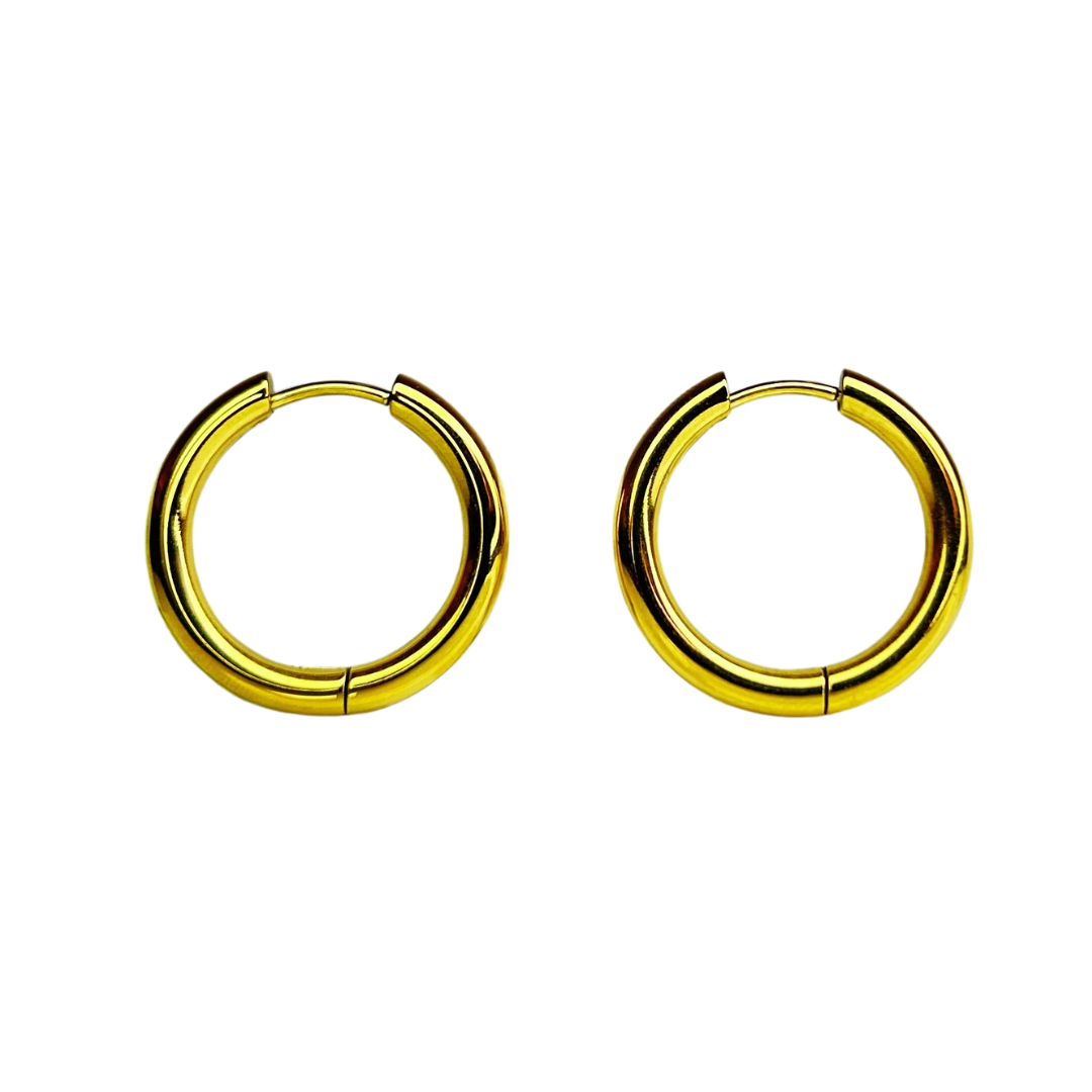 E324B Aretes Hoops - E324B