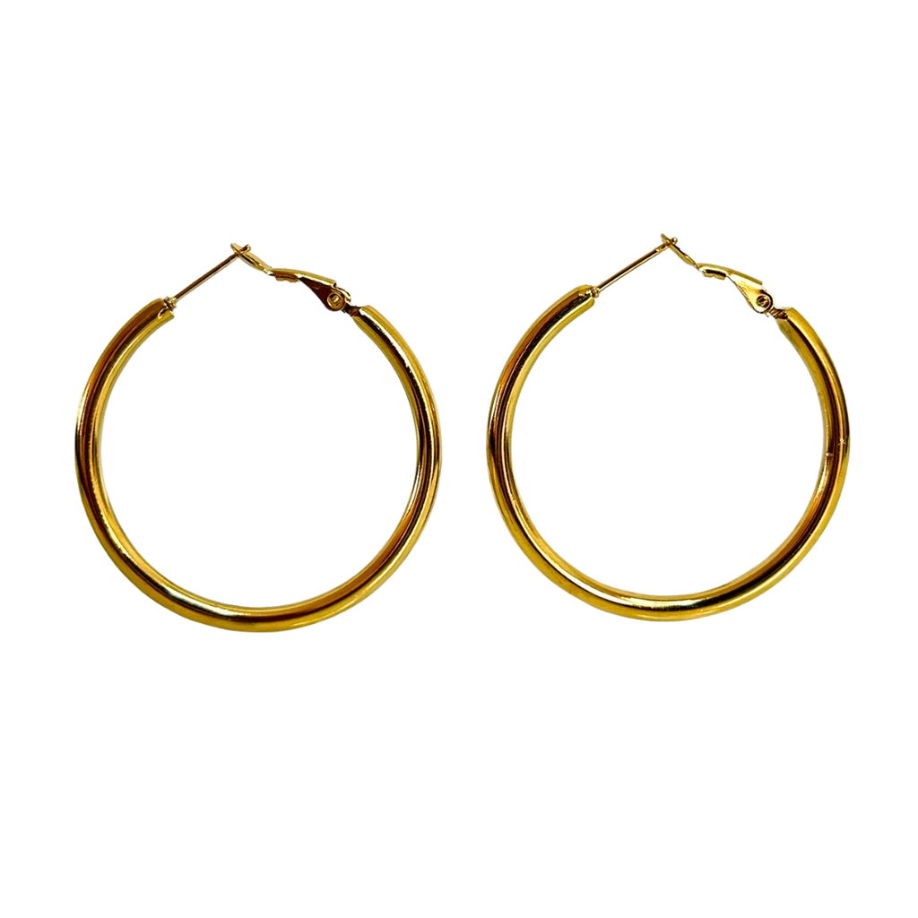 Aretes Hoops - E117