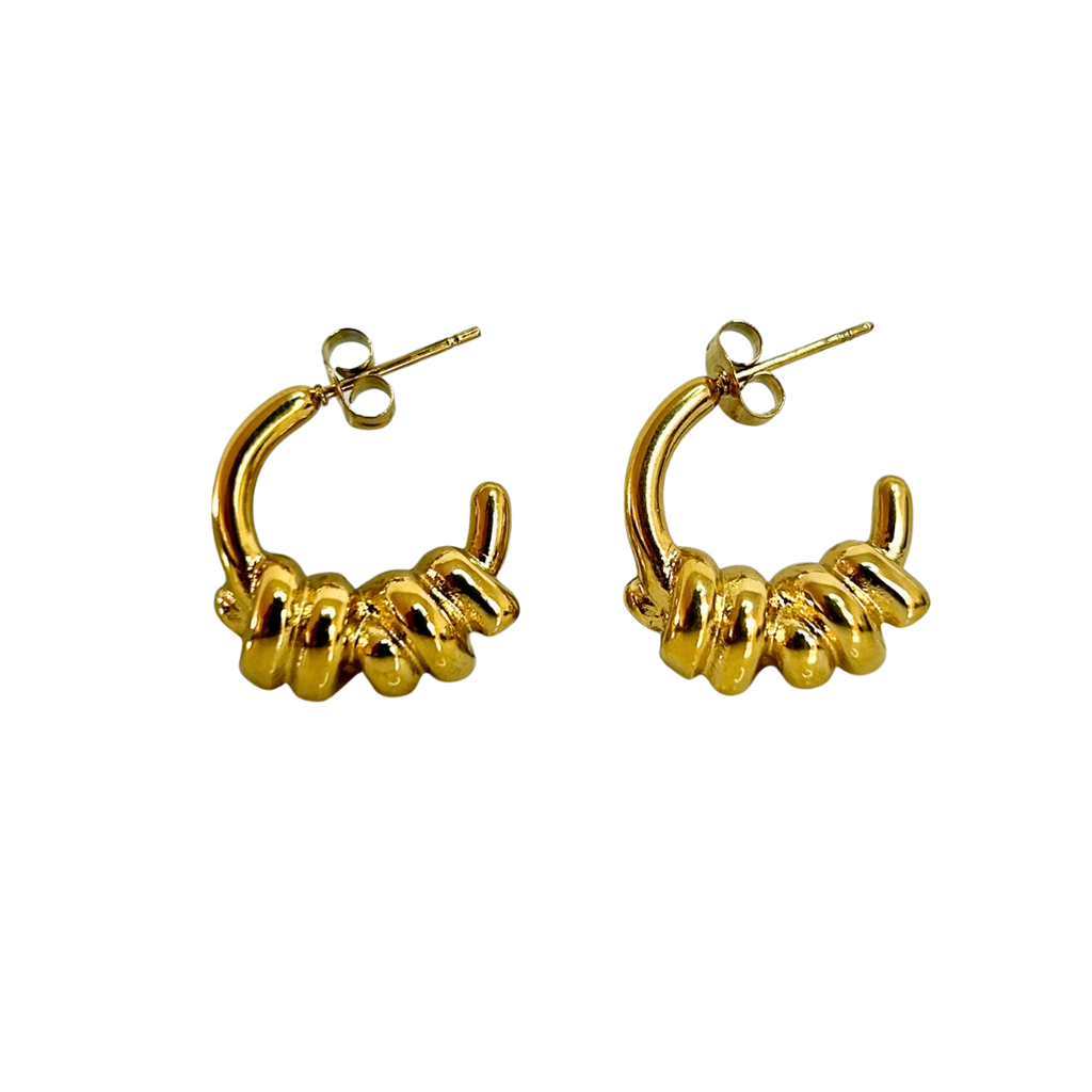 Aretes Hoops - E125