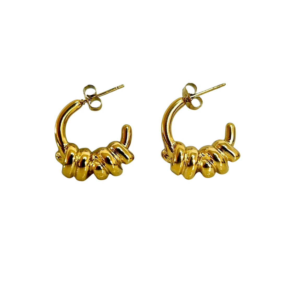 Aretes Hoops - E125
