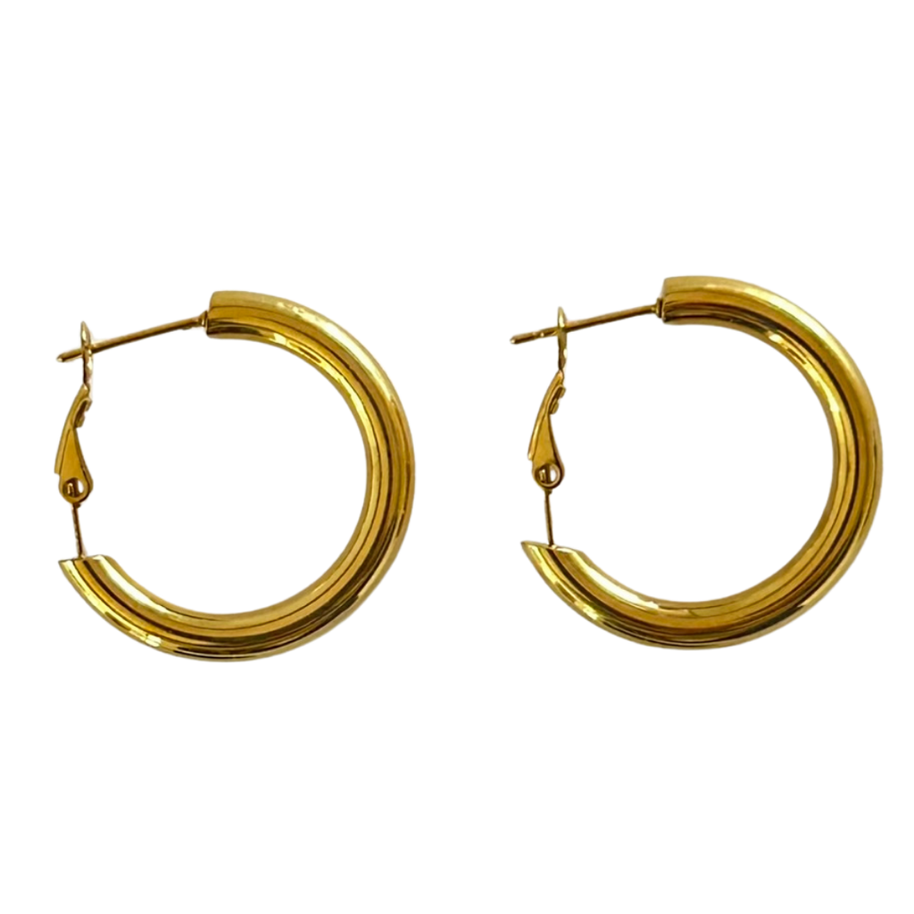 Aretes Hoops - E318