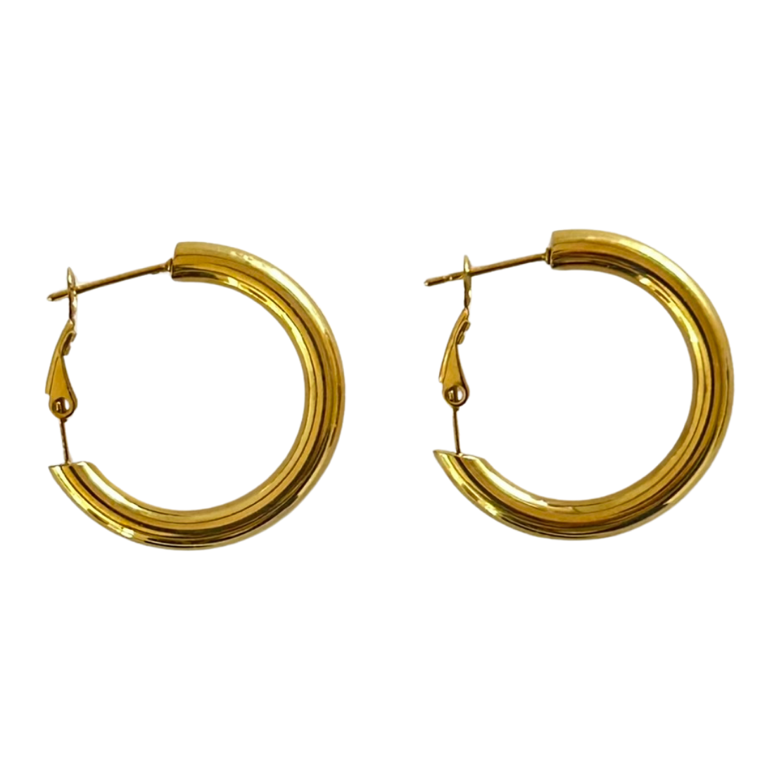 Aretes Hoops - E318