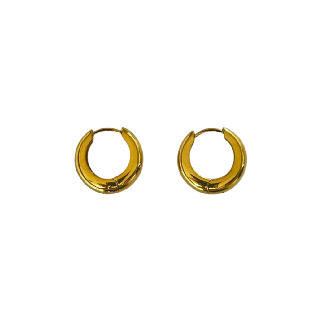 Aretes Hoops - E338