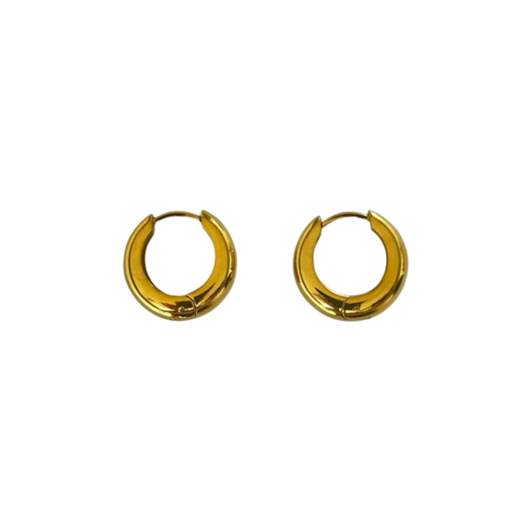 Aretes Hoops - E338