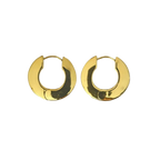 Aretes Hoops - E345