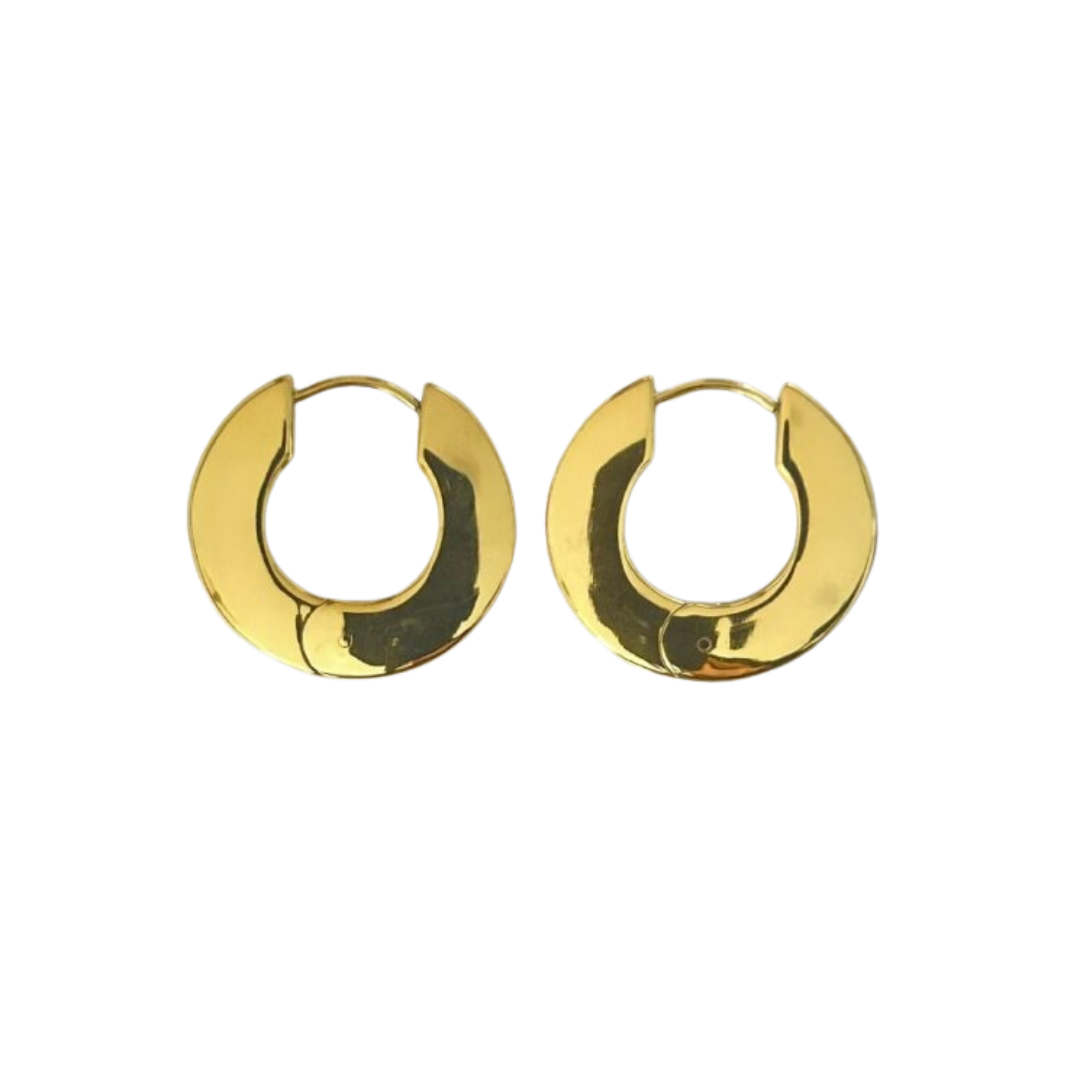 Aretes Hoops - E345