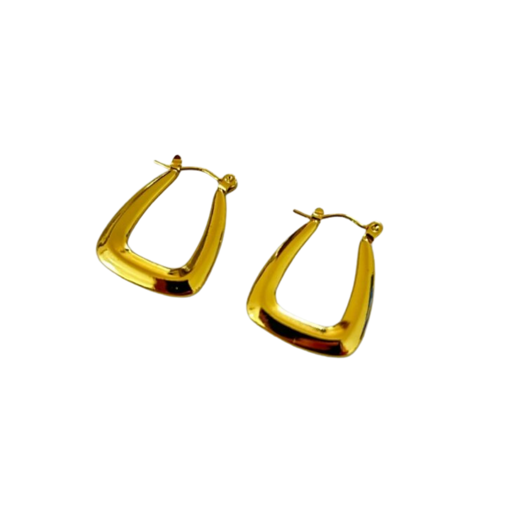 Aretes Hoops - E490