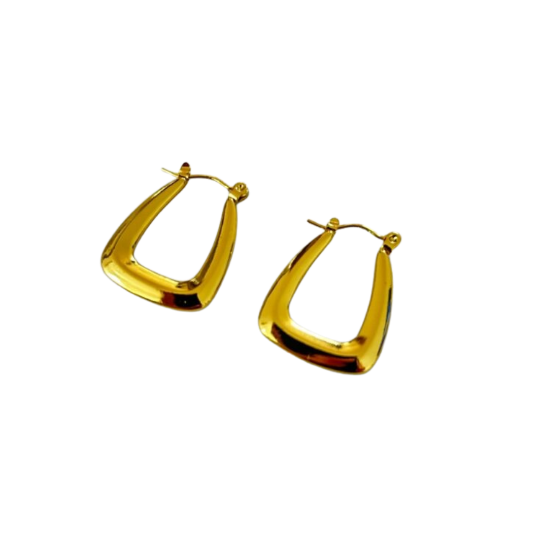 Aretes Hoops - E490