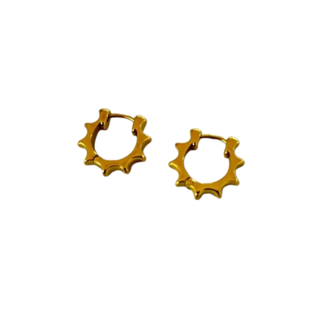 Aretes Hoops - E499
