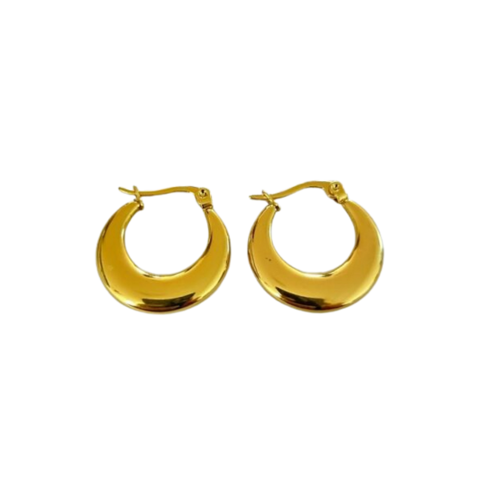 Aretes Hoops - E504