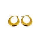 Aretes Hoops - E504