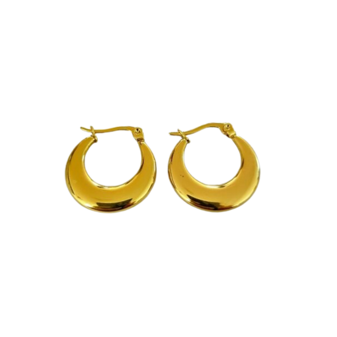Aretes Hoops - E504
