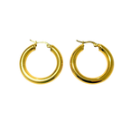 Aretes Hoops - E530