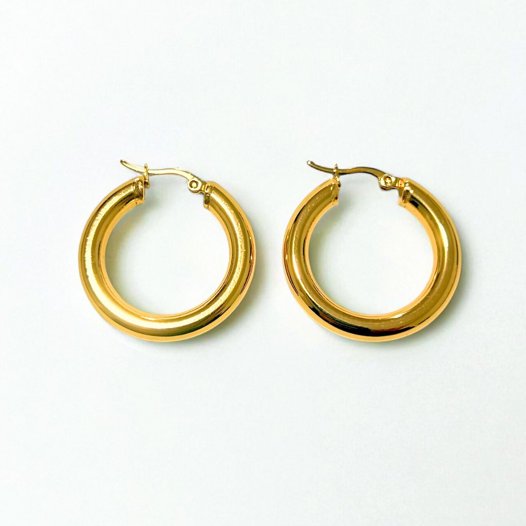Aretes Hoops - E530