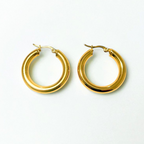 Aretes Hoops - E530