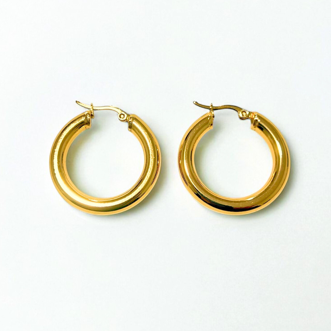 Aretes Hoops - E530