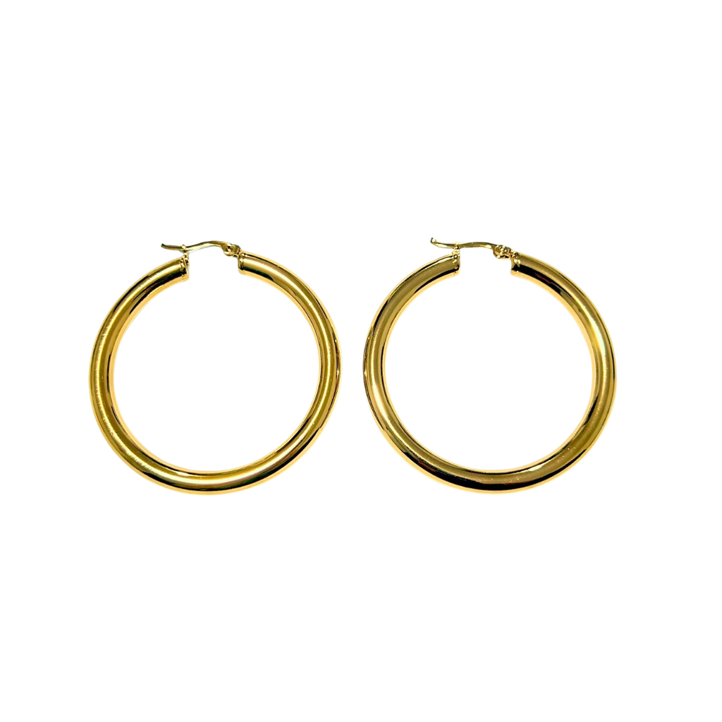 Aretes Hoops - E531