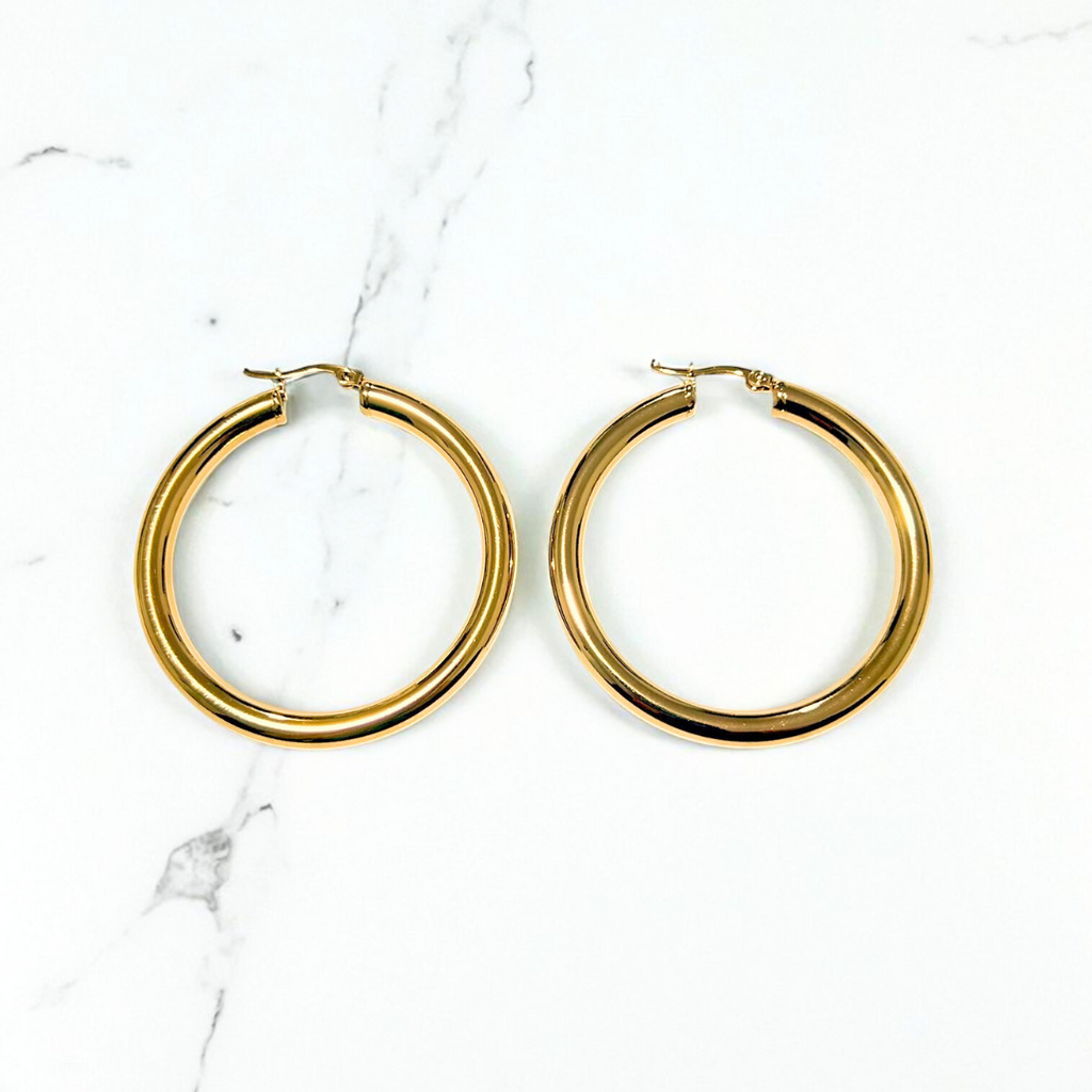 Aretes Hoops - E531