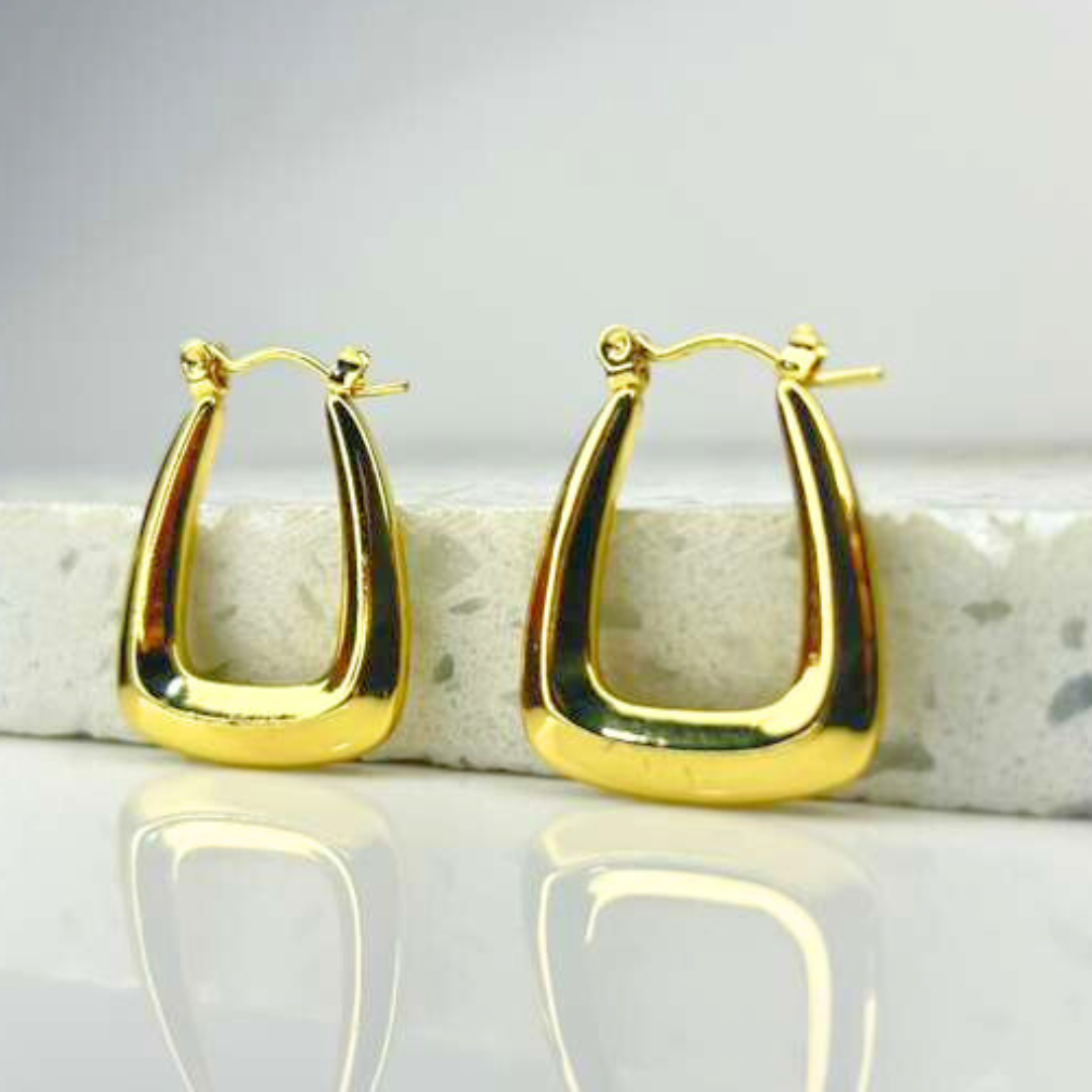 Aretes Hoops - E490