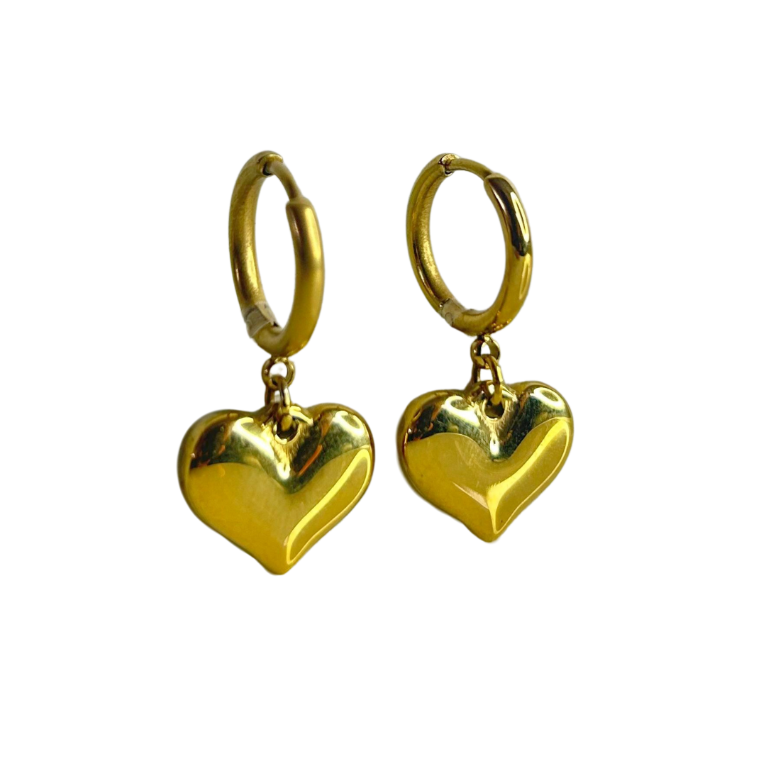 Aretes Heart - E231