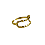 Anillo Lines  R-110