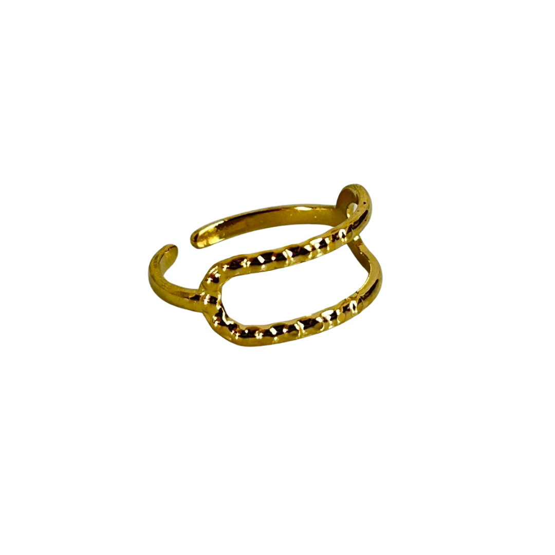 Anillo Lines  R-110
