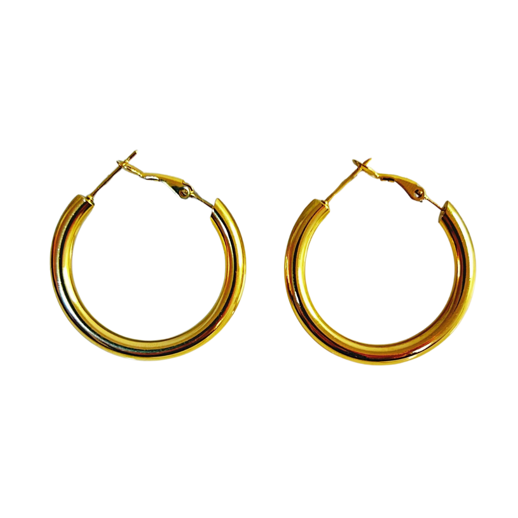 Aretes Hoops - E296