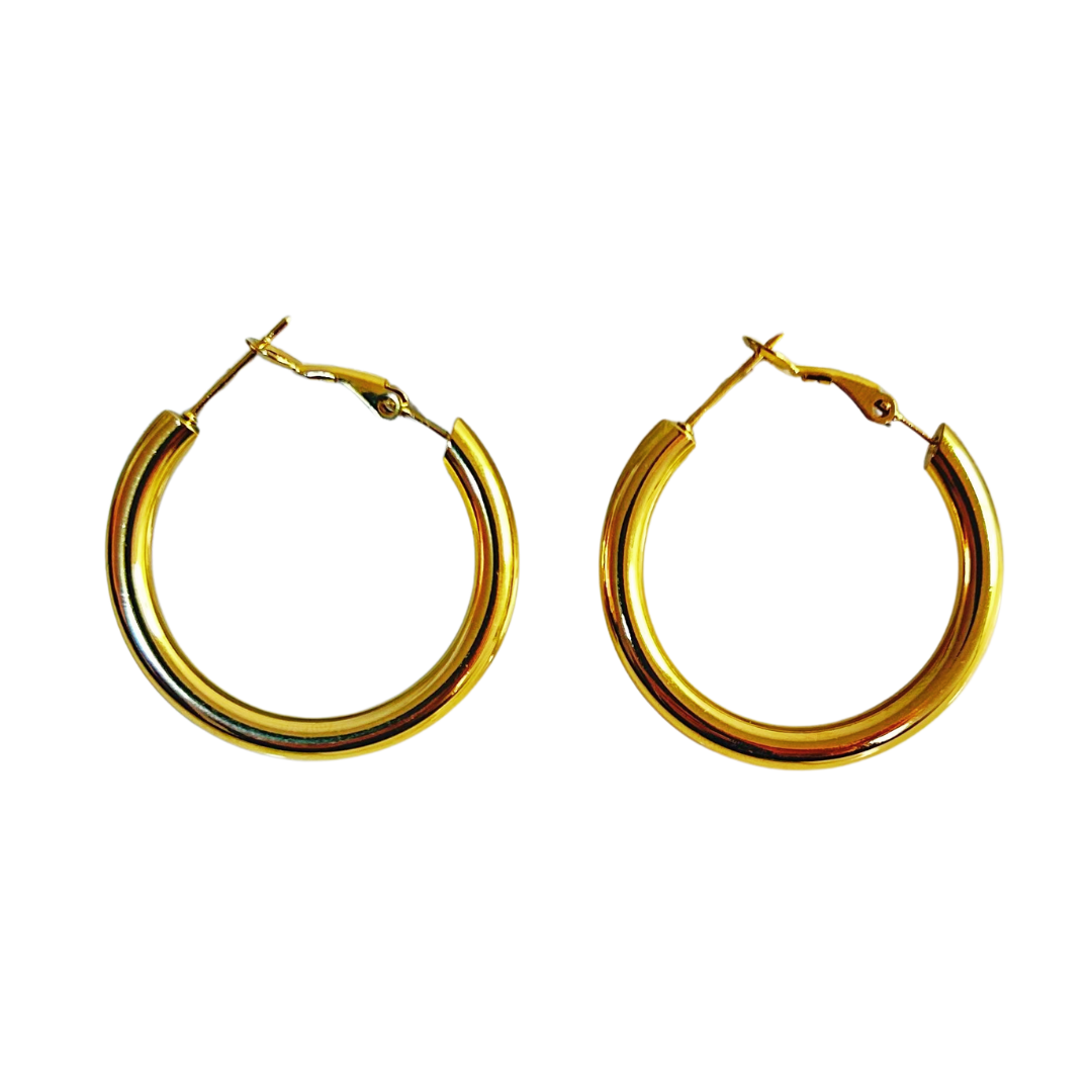 Aretes Hoops - E296