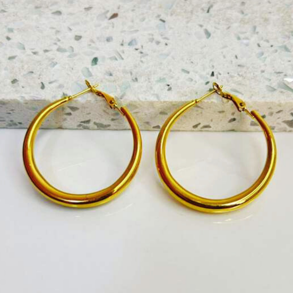 Aretes Hoops - E311