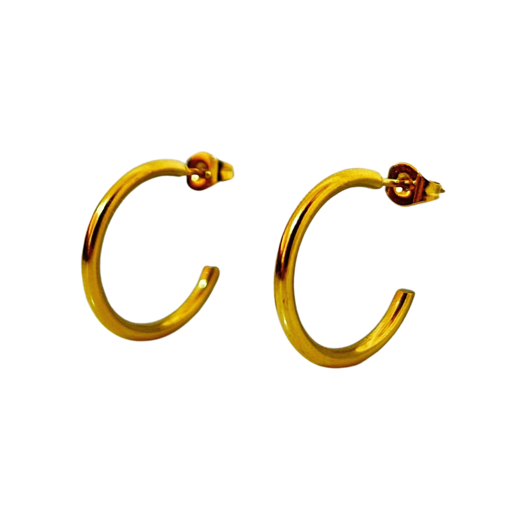 Aretes Hoops - E320