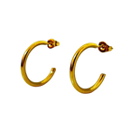 Aretes Hoops - E320