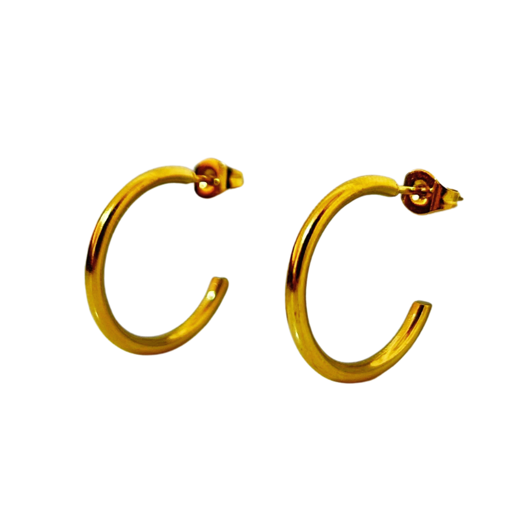 Aretes Hoops - E320