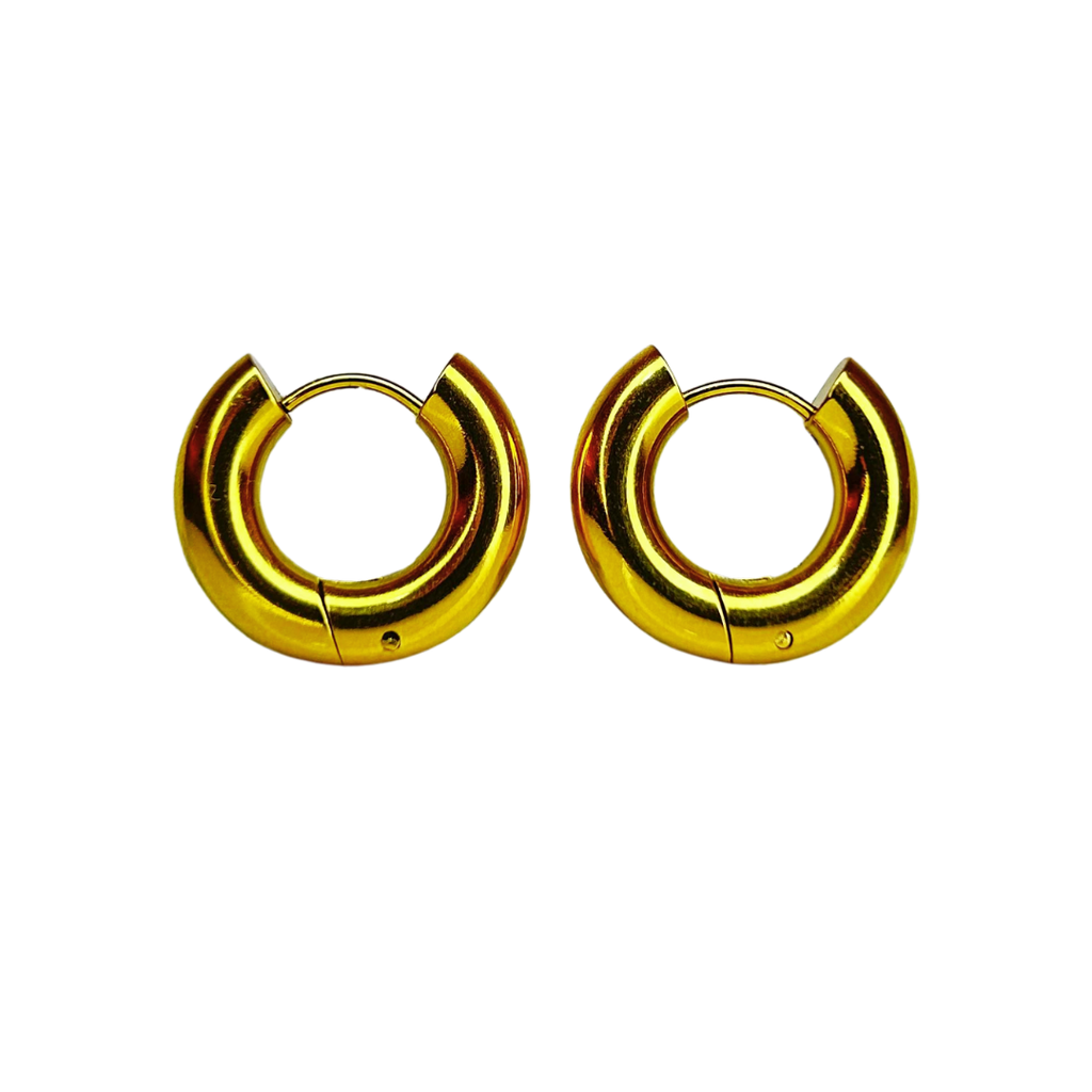 Aretes Hoops - E322A