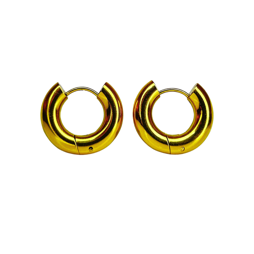 Aretes Hoops - E322A
