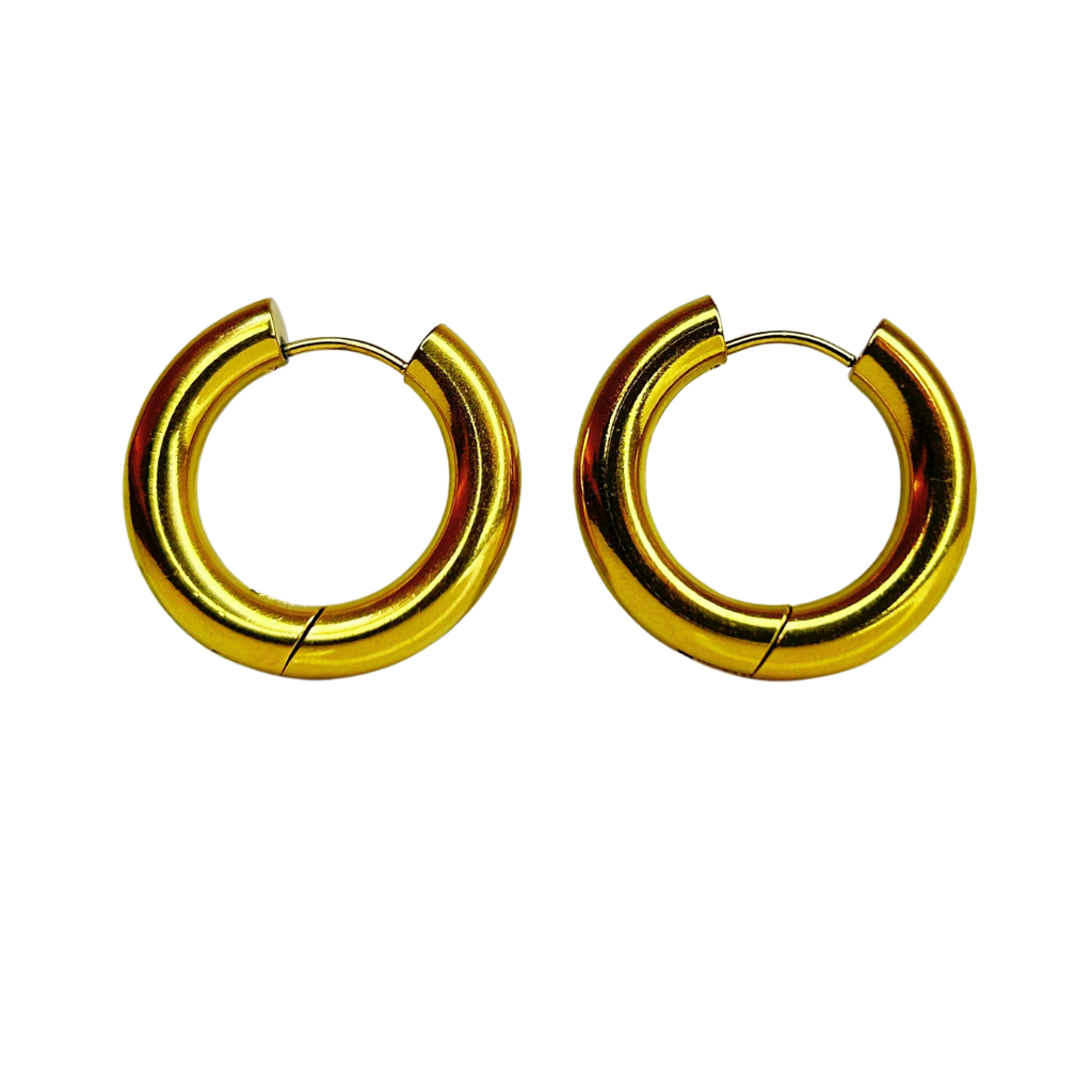E322C Aretes Hoops - E322C