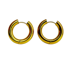 E322C Aretes Hoops - E322C