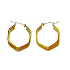 Aretes Hoops - E421