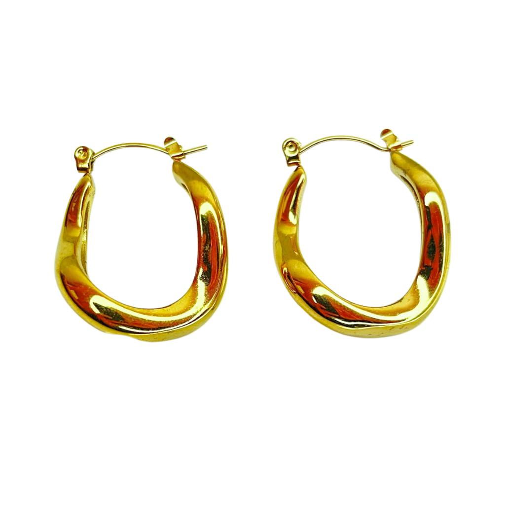 Aretes Hoops - E455