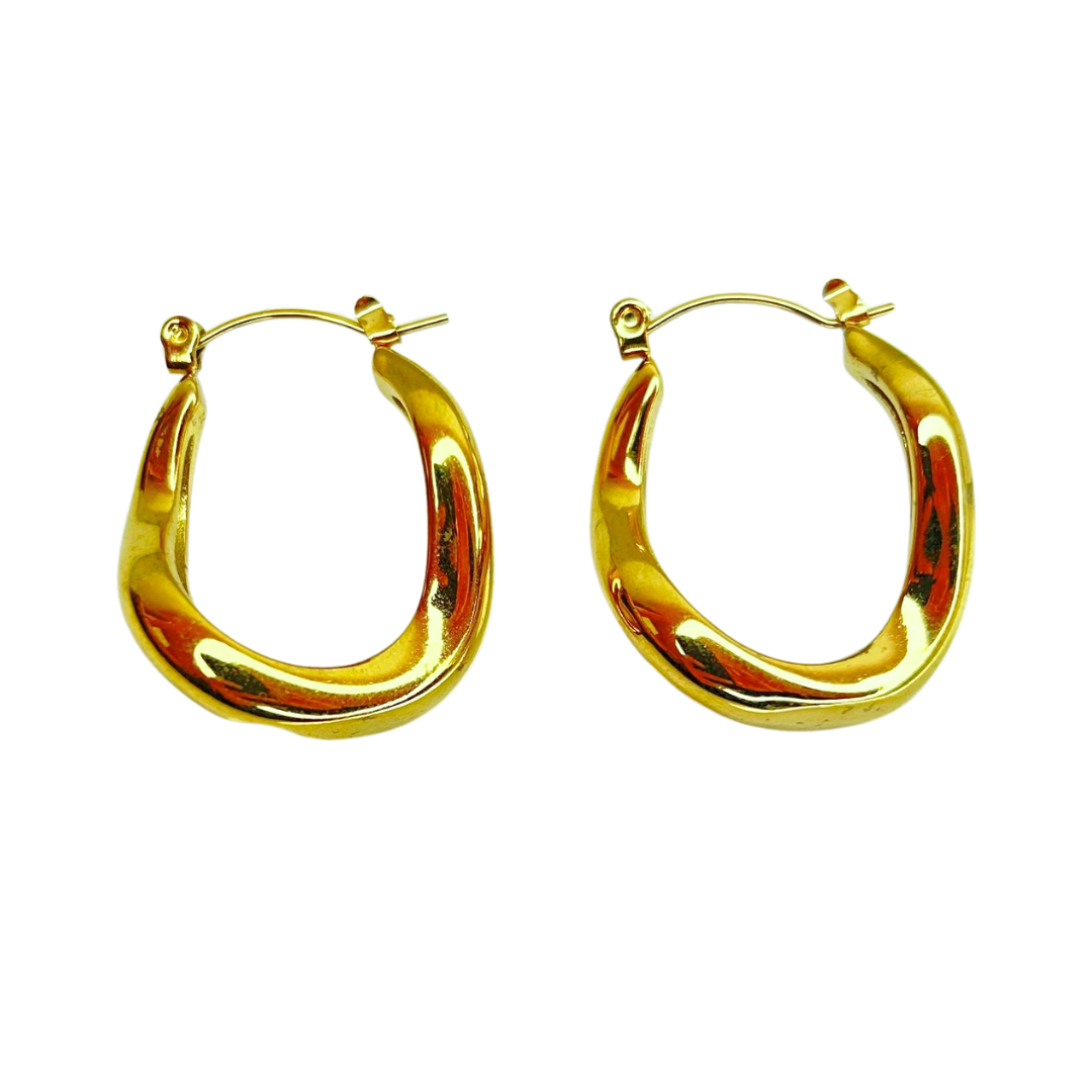 Aretes Hoops - E455