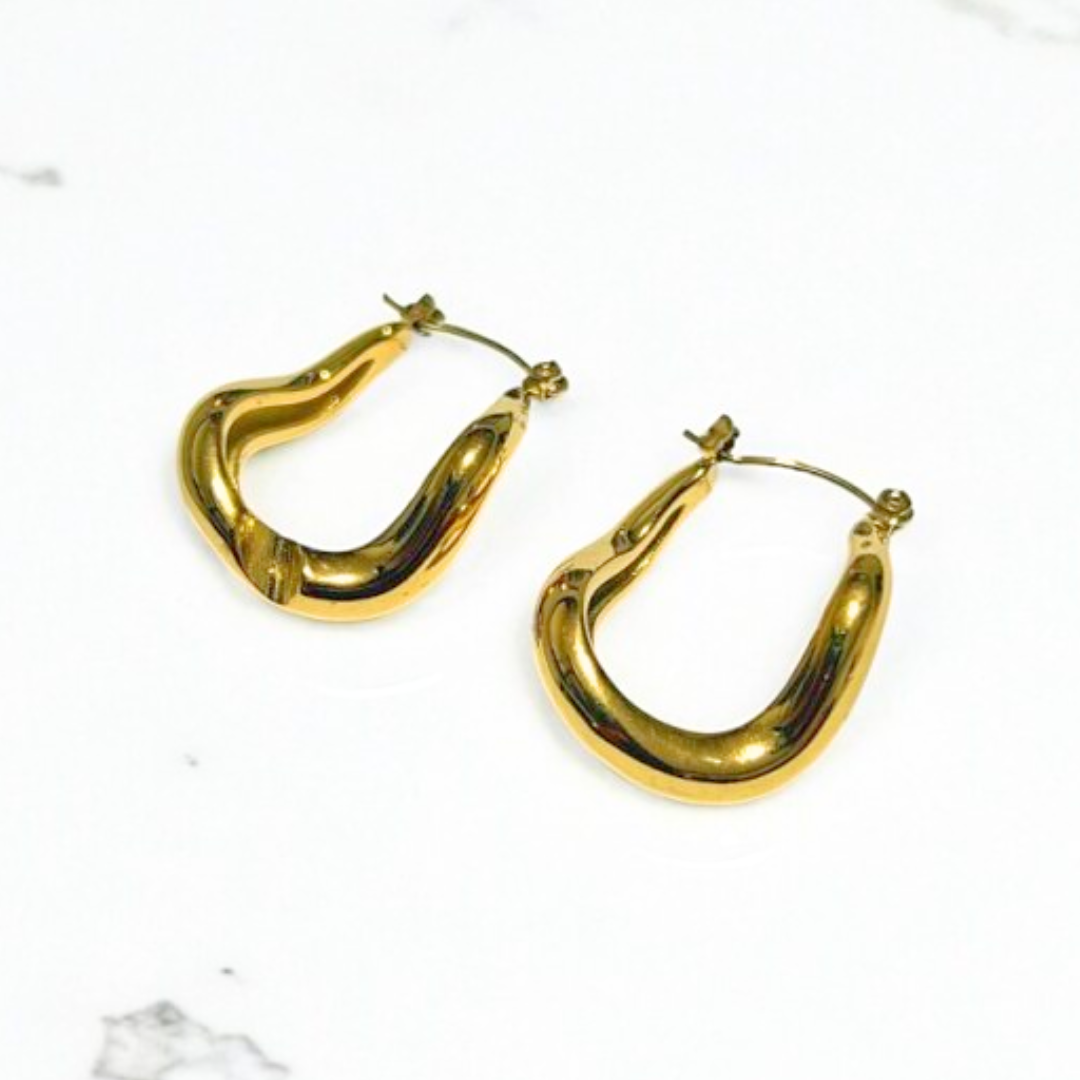 Aretes Hoops - E455