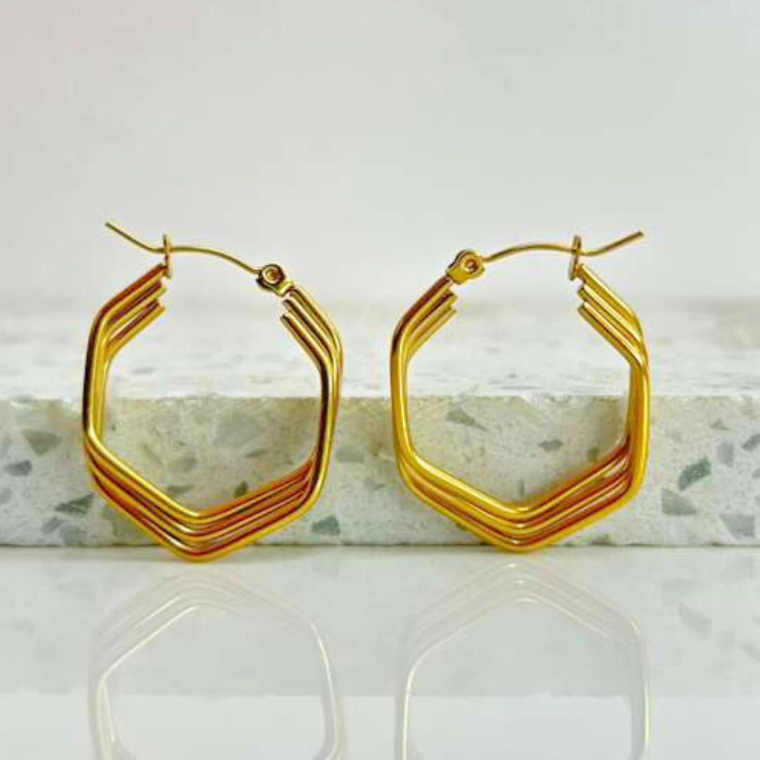 Aretes Hoops - E421