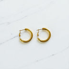Aretes Hoops - E318