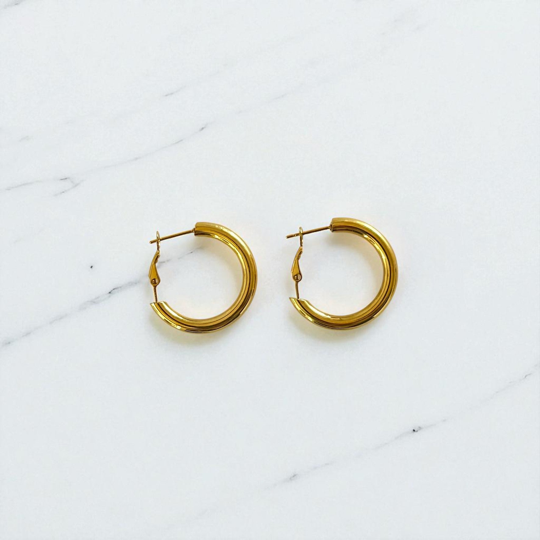 Aretes Hoops - E318