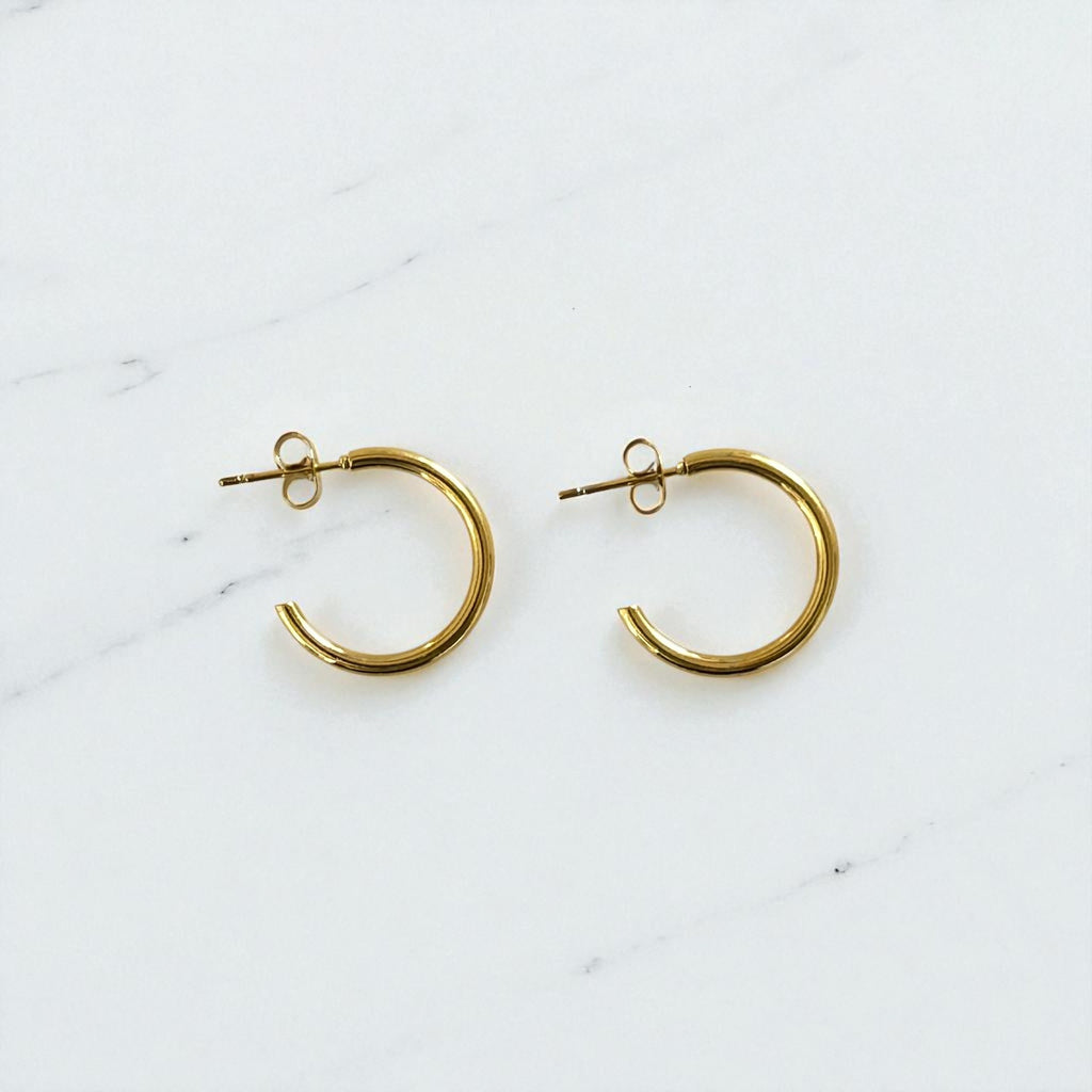 Aretes Hoops - E320