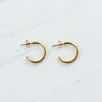Aretes Hoops - E320