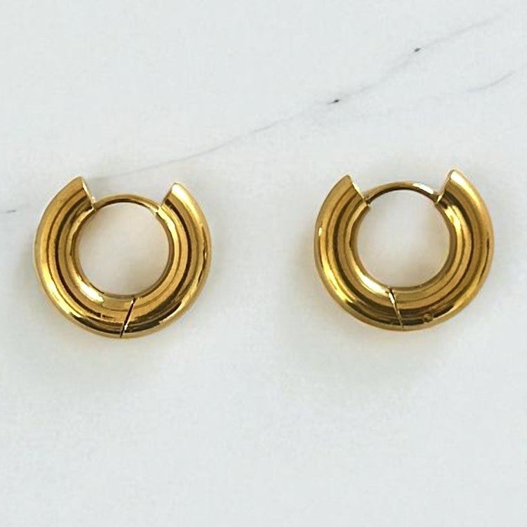 Aretes Hoops - E322A